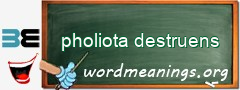 WordMeaning blackboard for pholiota destruens